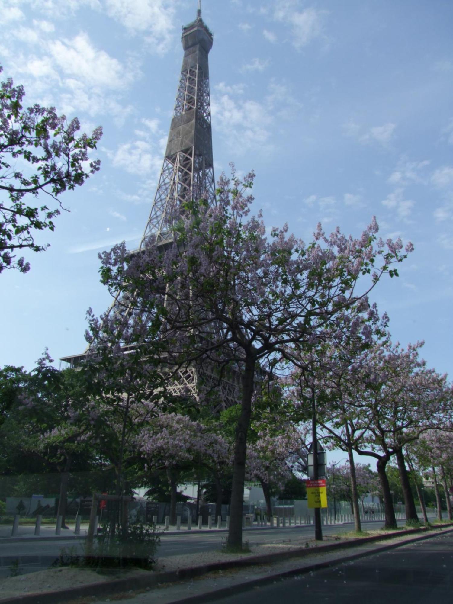 Plein Coeur De * Parigi